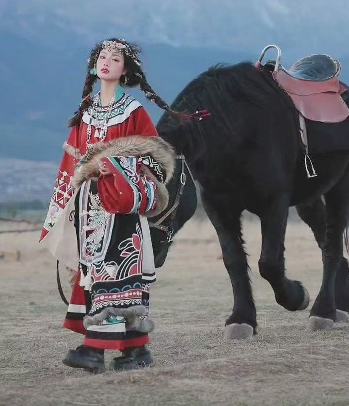 Classic Embroidered Tibetan Ro - Ethnic Gown 评论和价格